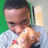 mello_gotudeal
